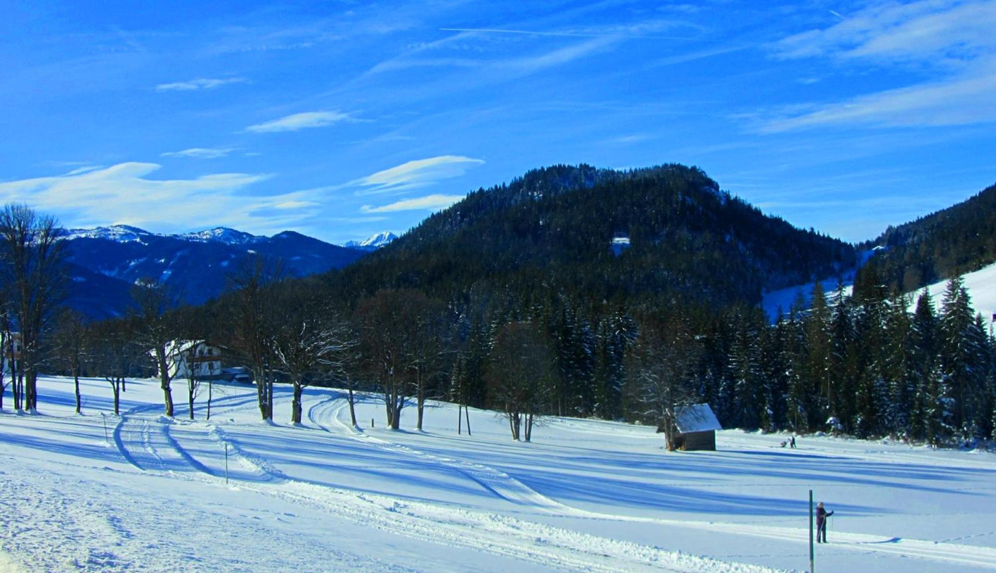 Haus Kartoner Otel Schladming Dış mekan fotoğraf